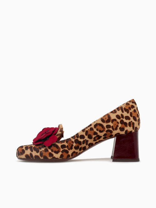 Mukai 47 Leop Rojo Negro pinkie Ante Black Brown / 5 / M