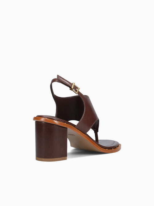 Seagrass Root Brown Tourino Leather Brown / 5 / M