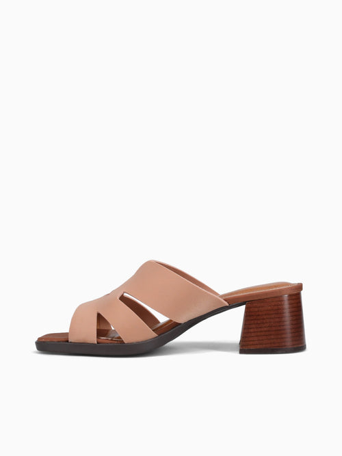 Niobe Cappuccino Neoprene Taupe / 5 / M