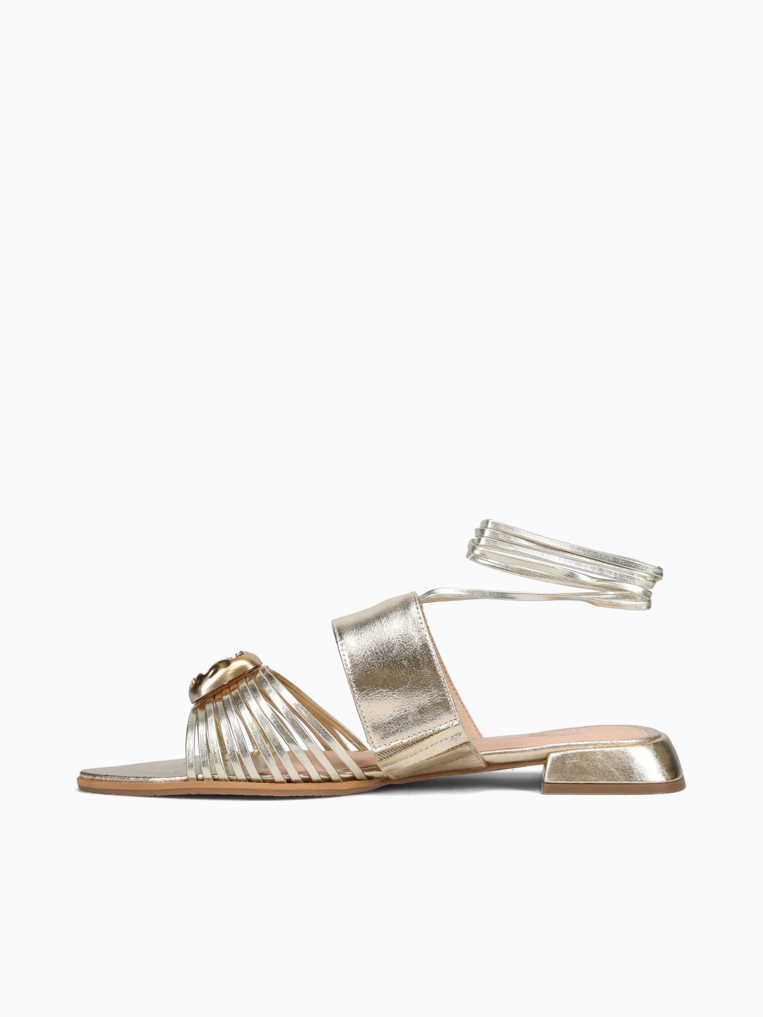 Frannie Ouro Light Vac Metalizado