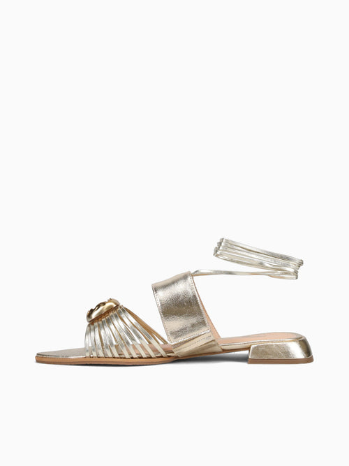 Frannie Ouro Light Vac Metalizado