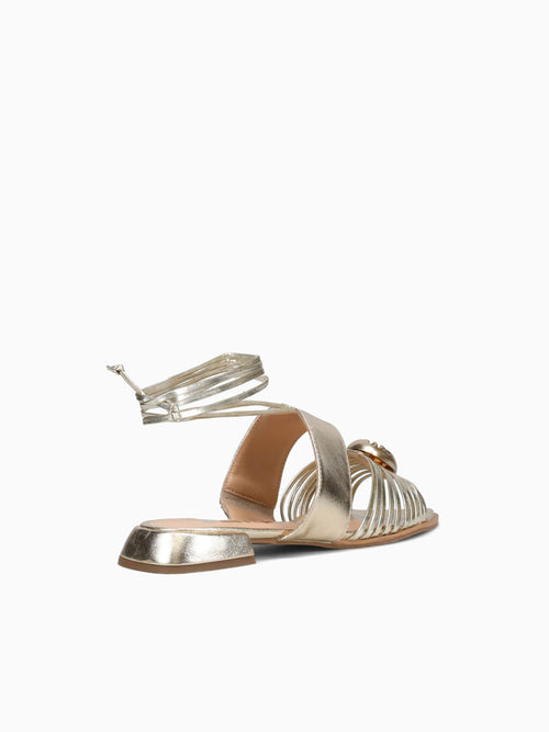 Frannie Ouro Light Vac Metalizado