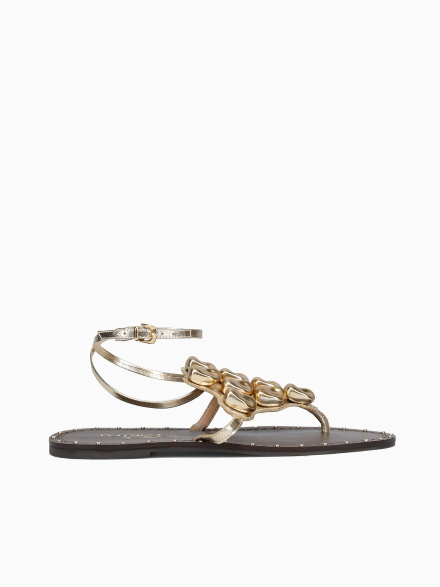 Freya Ouro Light Cristal Gold / 5 / M