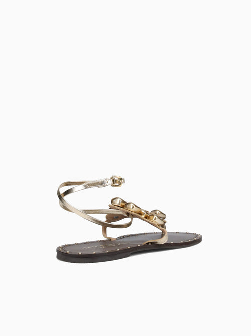 Freya Ouro Light Cristal Gold / 5 / M