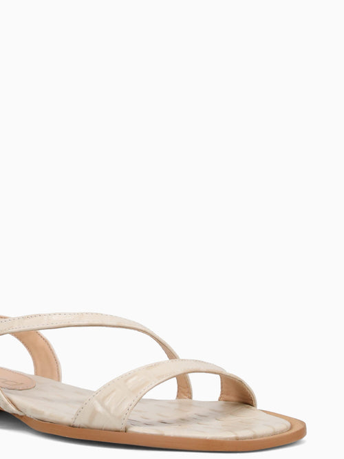 Frima Off White Cocodrillo Off White / 5 / M