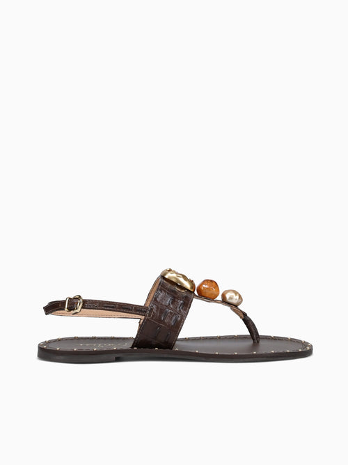 Frin Café Cocodrillo Brown / 5 / M