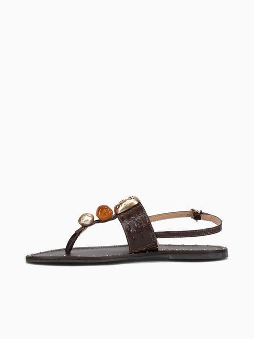 Frin Café Cocodrillo Brown / 5 / M