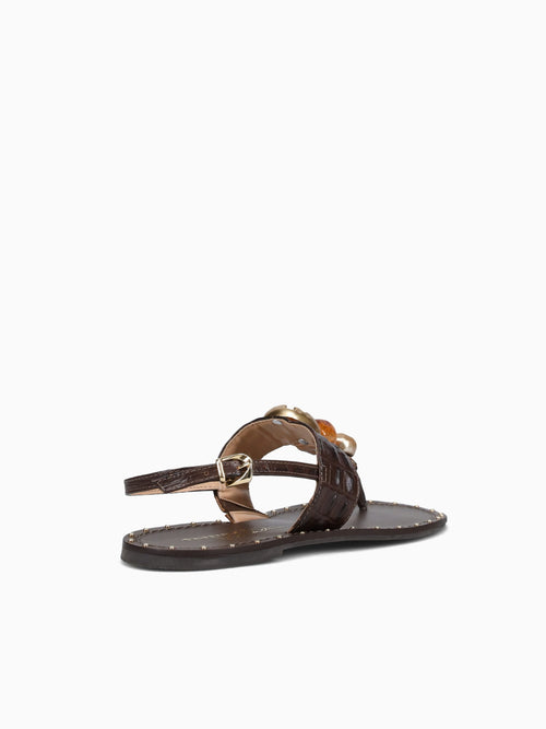 Frin Café Cocodrillo Brown / 5 / M