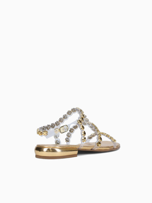 Zemi New Gold Chroma Gold / 5 / M