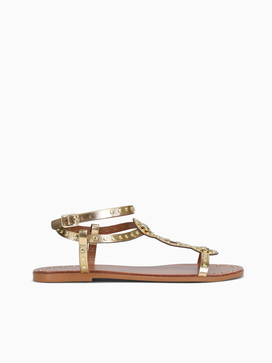 Zena New Gold Ouro chroma Gold / 5 / M