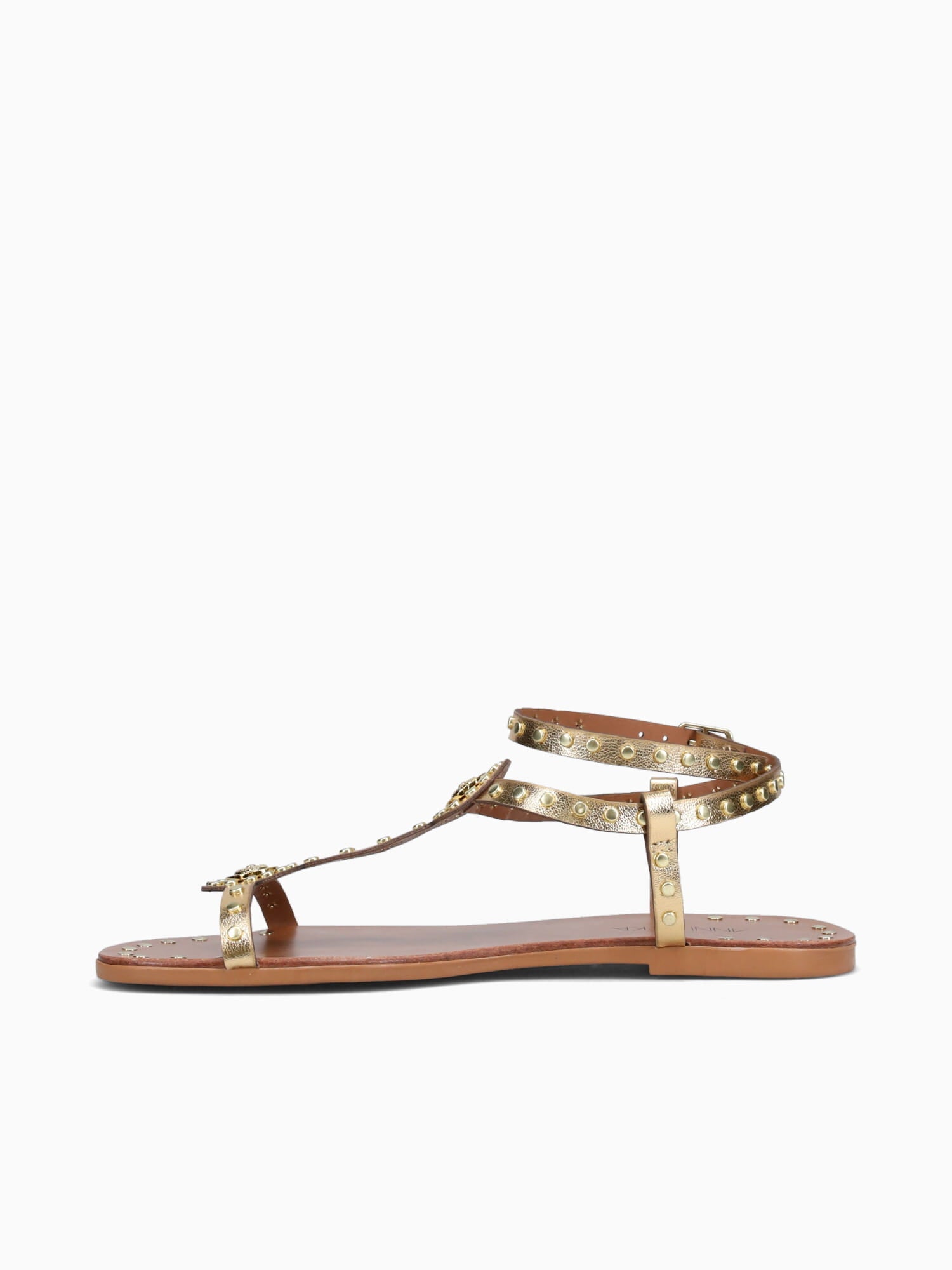 Zena New Gold Ouro chroma Gold / 5 / M
