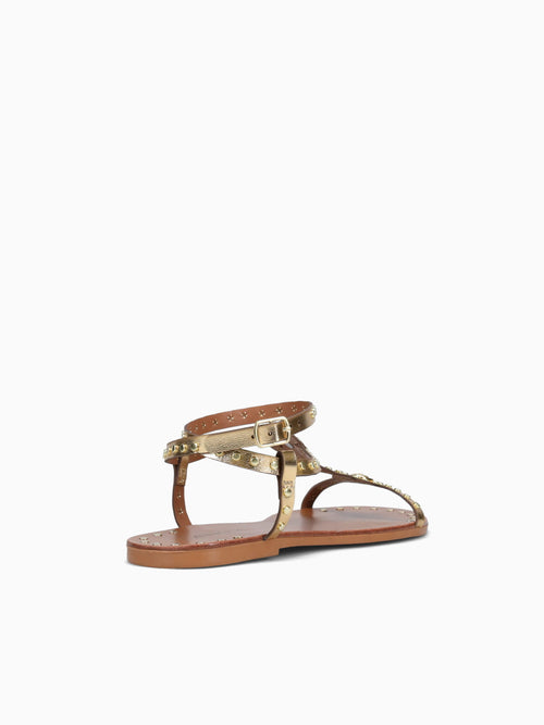 Zena New Gold Ouro chroma Gold / 5 / M