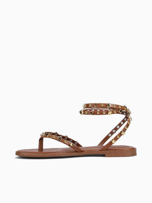 Zenaida Nogueira Ouro mestico Brown / 5 / M