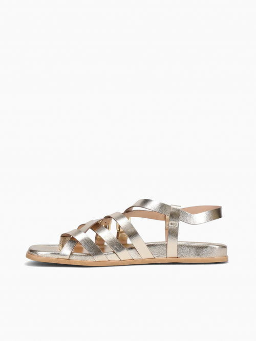 Zenobia Champagner Chroma Gold / 5 / M