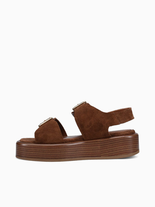 Trinika Brownie Café camurcao Brown / 5 / M