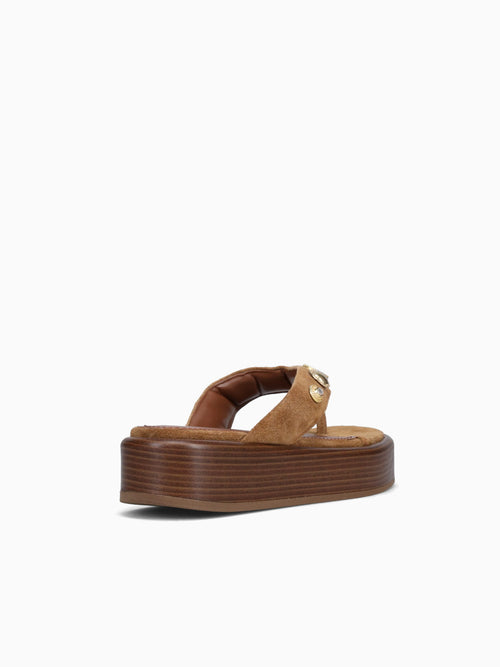 Tripta Bourbon Café camurcao Brown / 5 / M