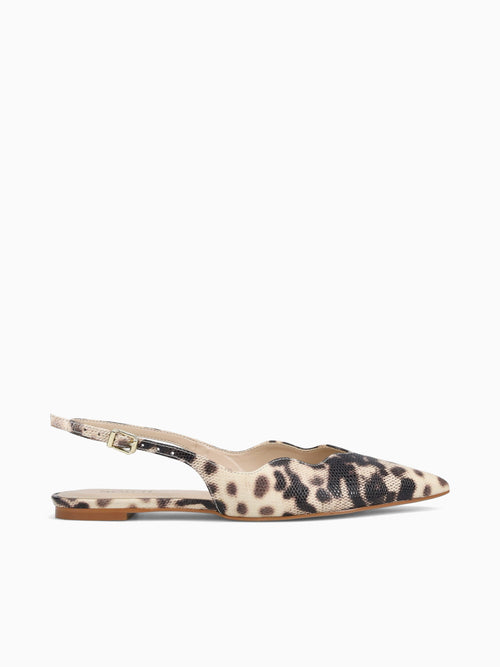 Aidana Off Brown iguana Off White / 5 / M