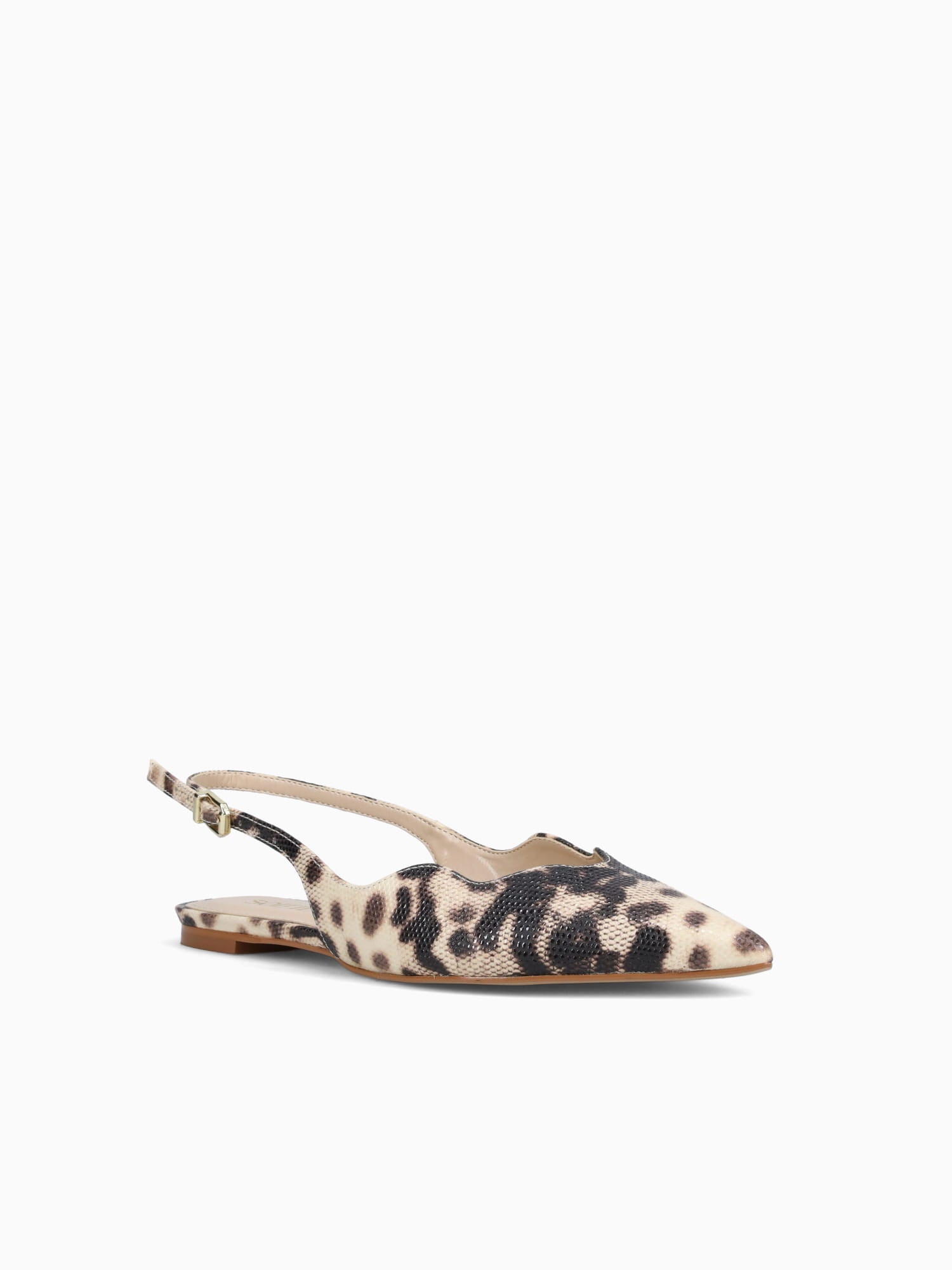 Aidana Off Brown iguana Off White / 5 / M