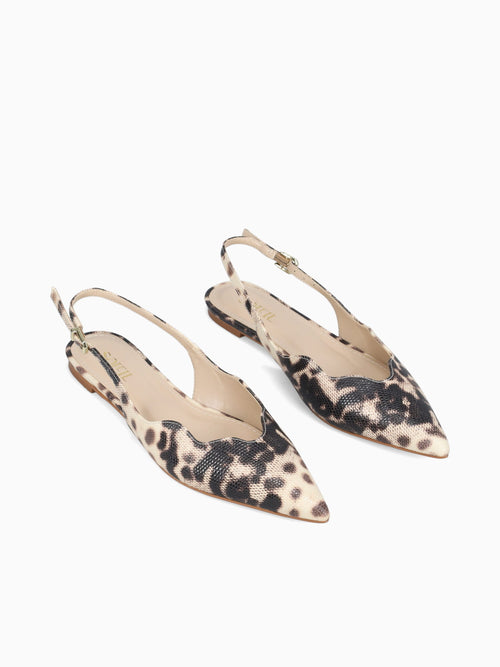 Aidana Off Brown iguana Off White / 5 / M