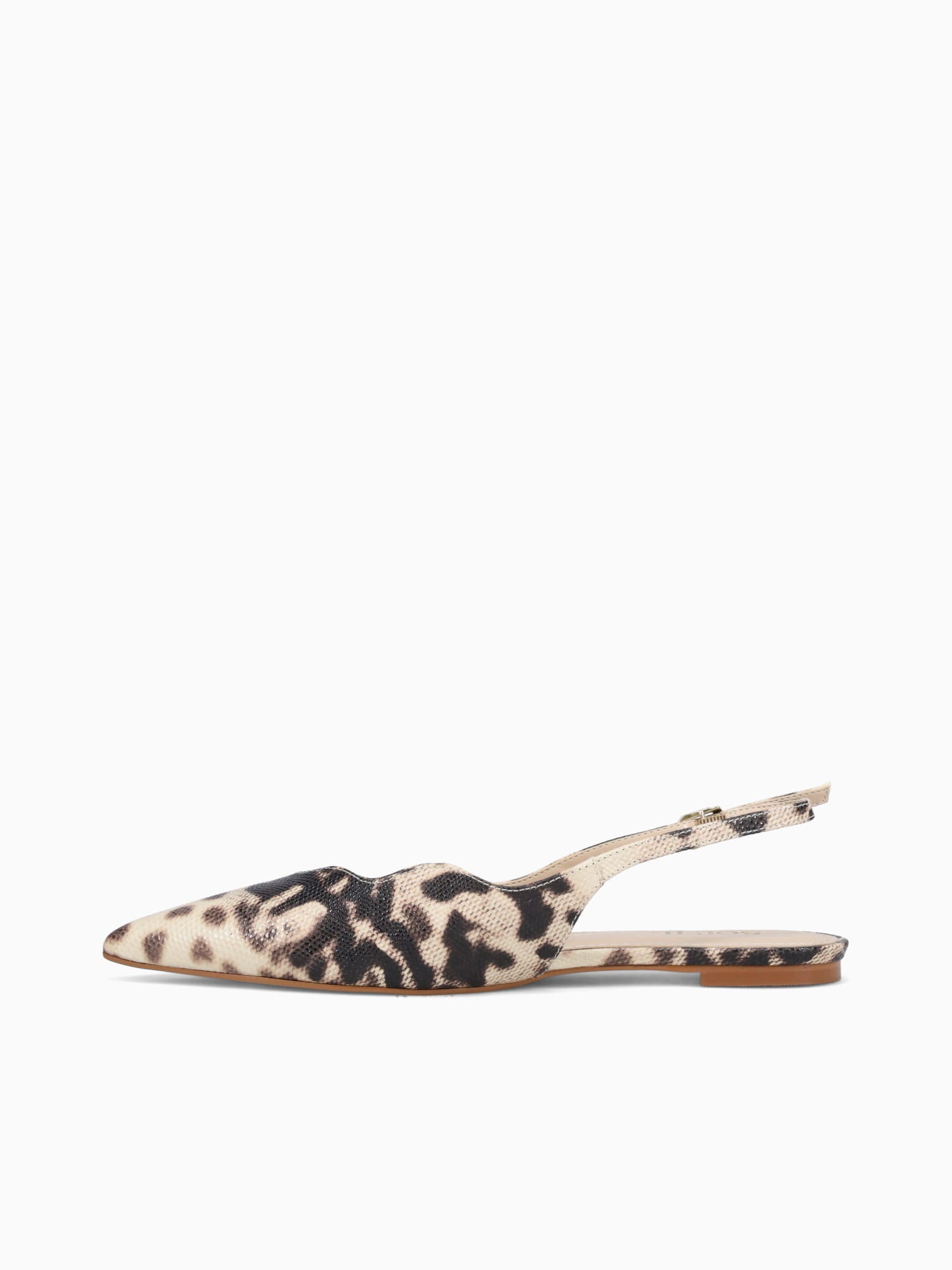 Aidana Off Brown iguana Off White / 5 / M