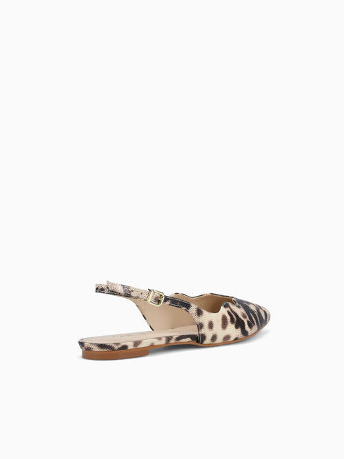 Aidana Off Brown iguana Off White / 5 / M