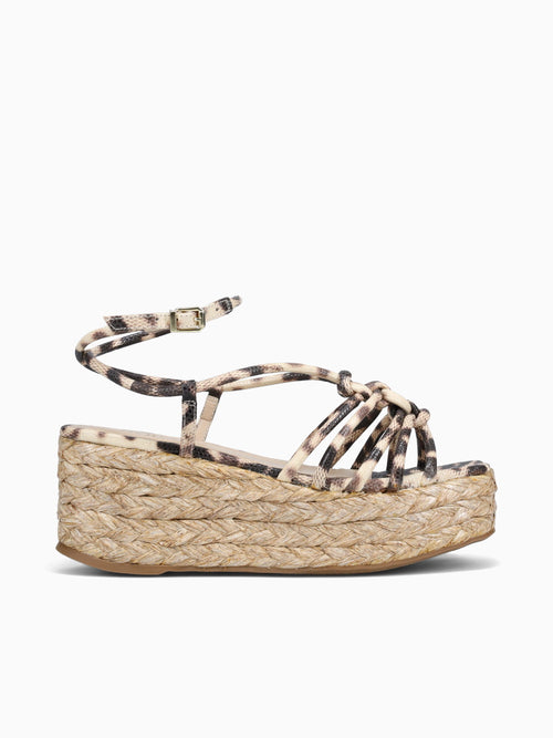 Aifrick Off Brown iguana Brown / 5 / M