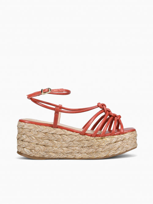 Aifrick Carrot Torino Red / 5 / M