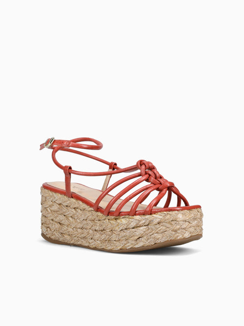 Aifrick Carrot Torino Red / 5 / M