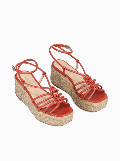Aifrick Carrot Torino Red / 5 / M