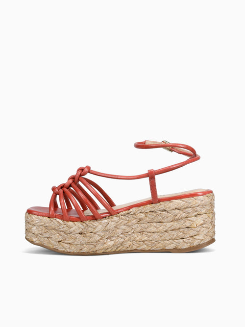 Aifrick Carrot Torino Red / 5 / M