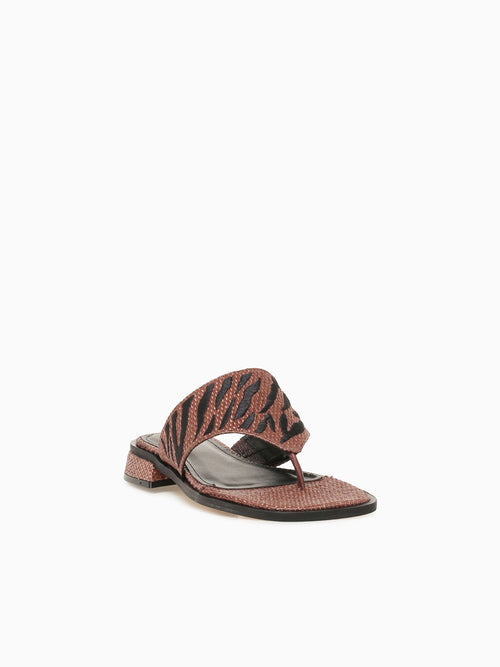 Aiko Java Java palha Veneto