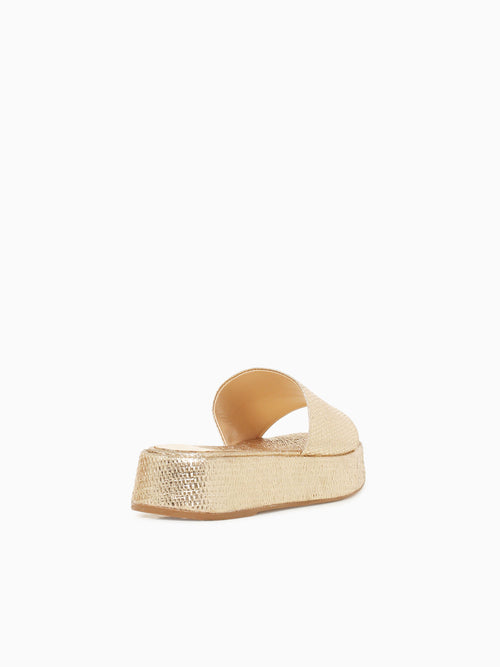 Ailene Champagne Palha