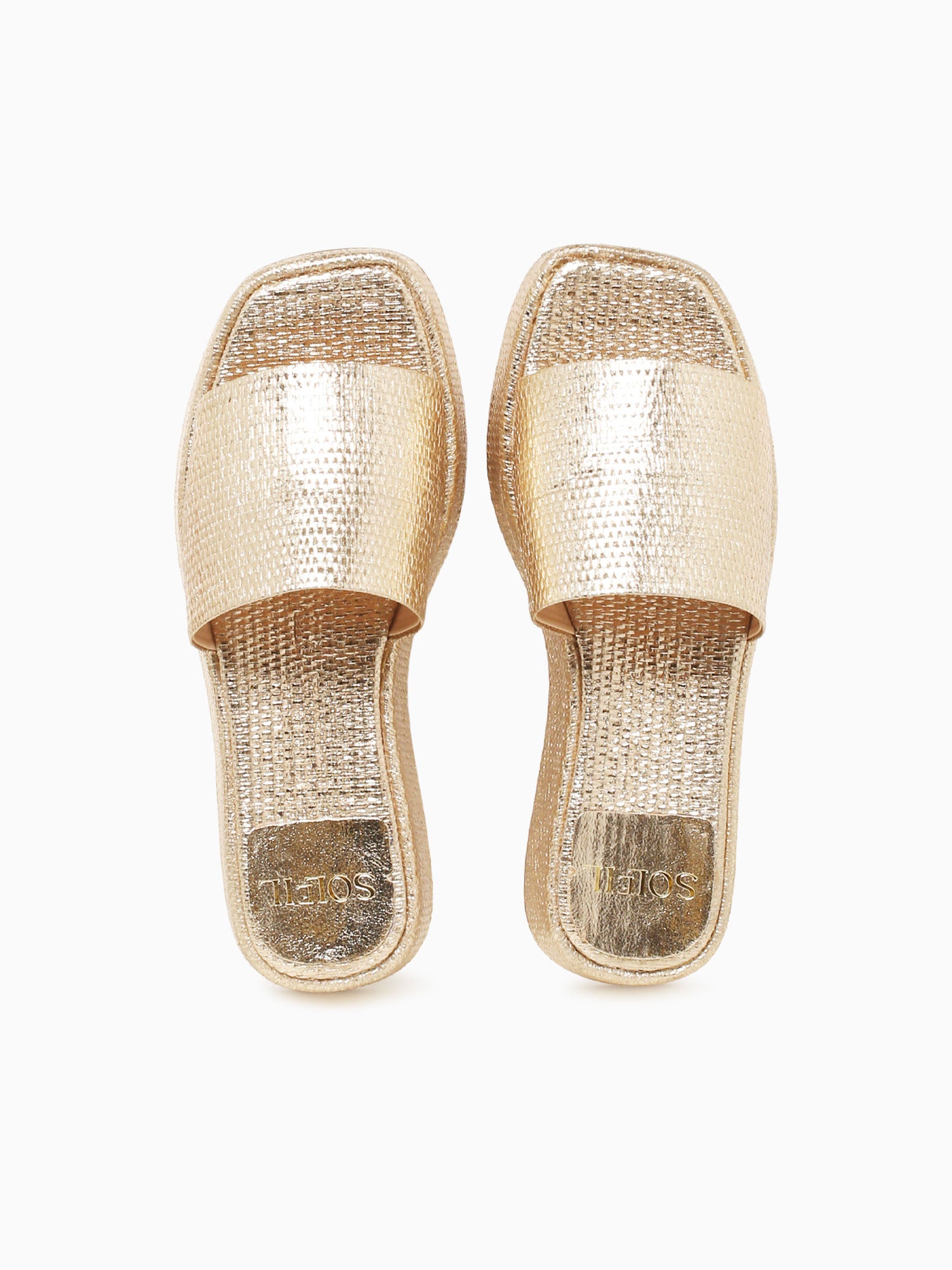 Ailene Champagne Palha