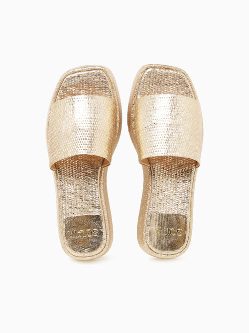 Ailene Champagne Palha