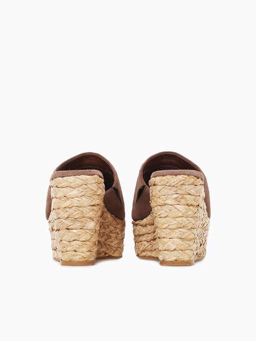 Ailbeda Java Camurcao