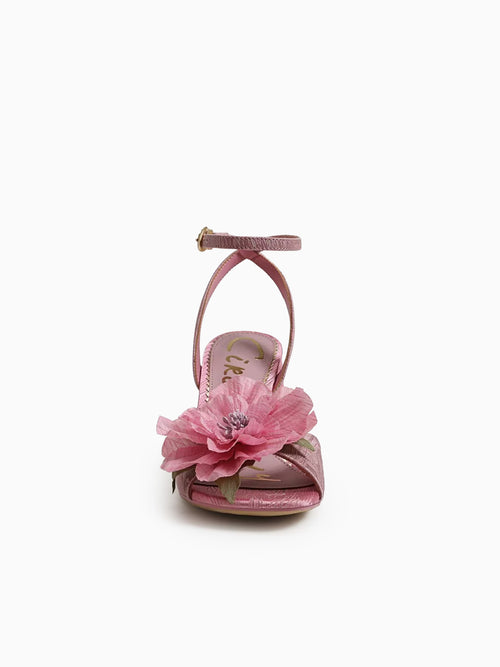 Aria Flower Rosette Blush Fabric Pink / 5 / M