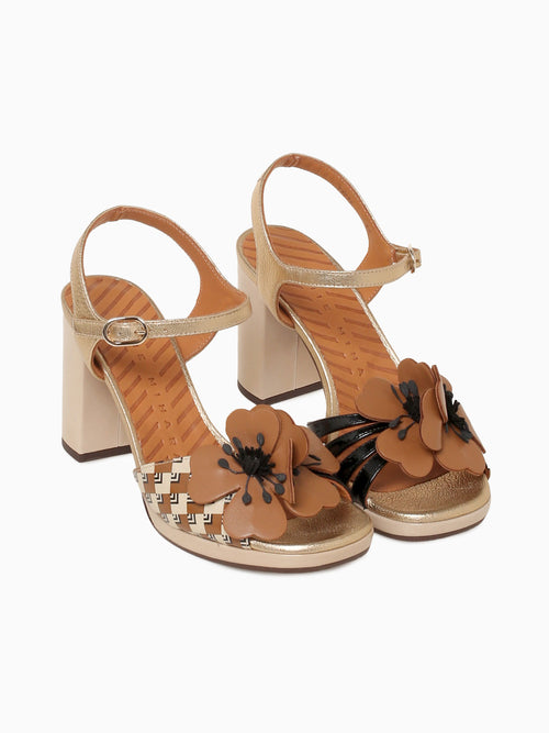 Parlota Negro Cuero Champagne sucre