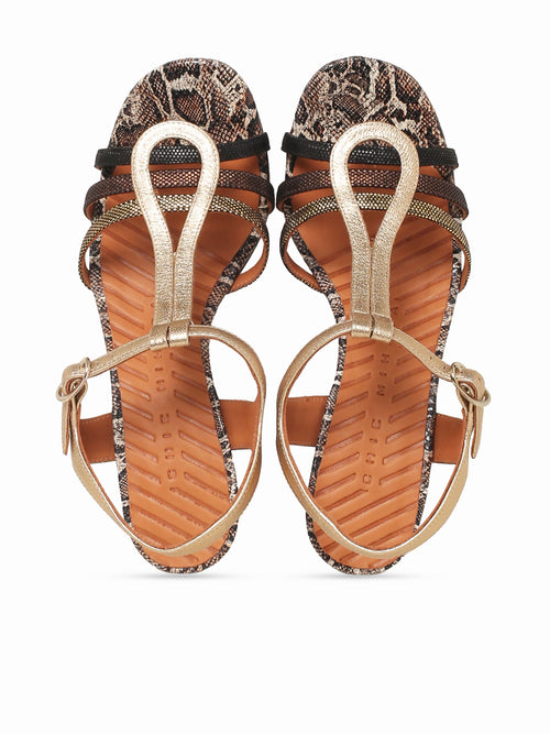 Babi Champan Negro Cobre dali Luni Champagne / 5 / M