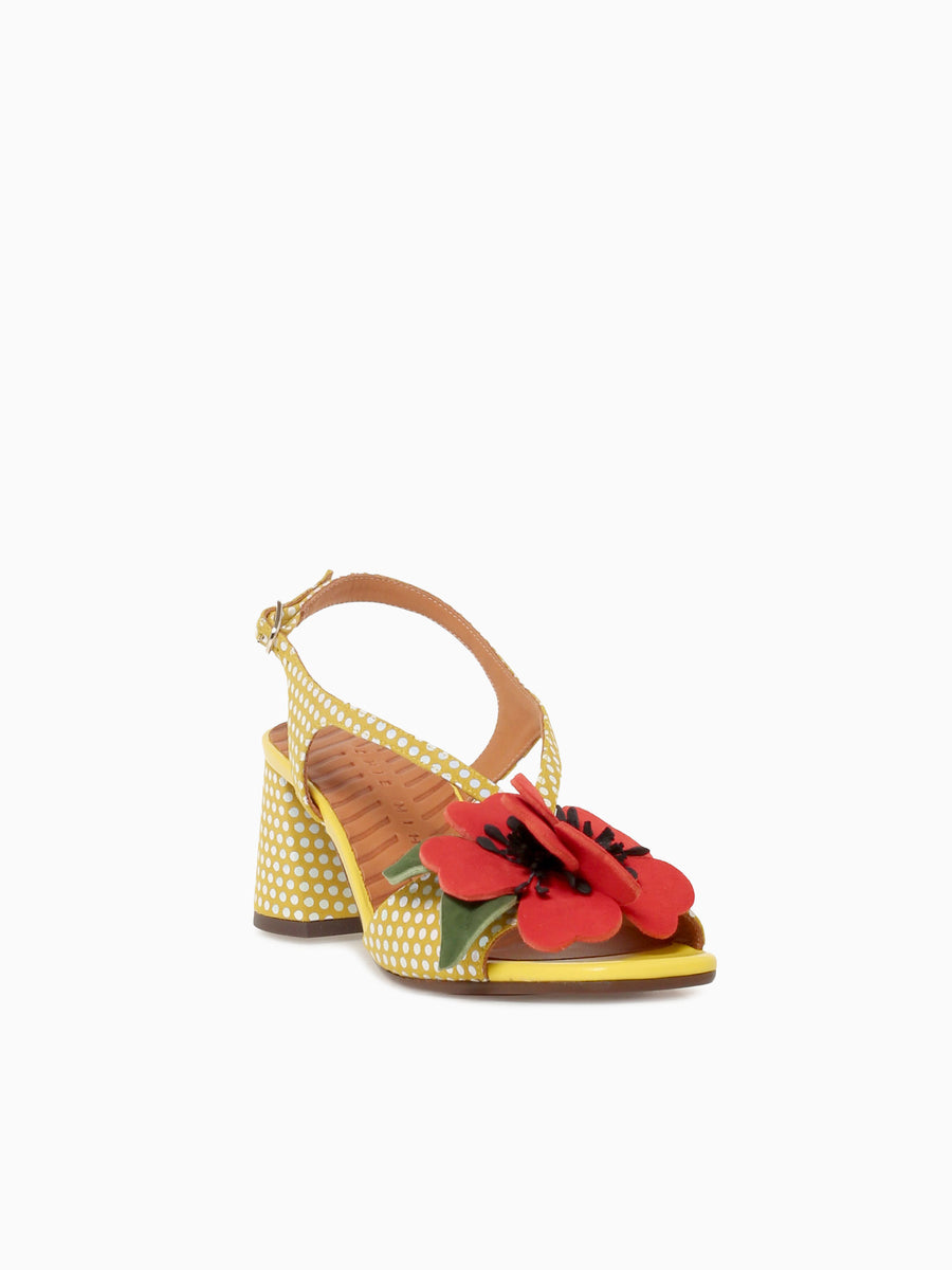 Rymane Lemon Tomate Sun dotto Ante Linda