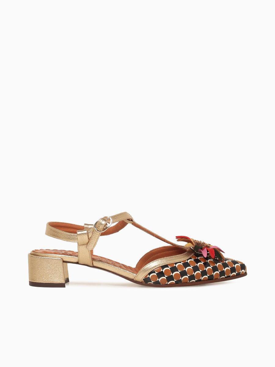 Heleni Cuero Champan tego Dali