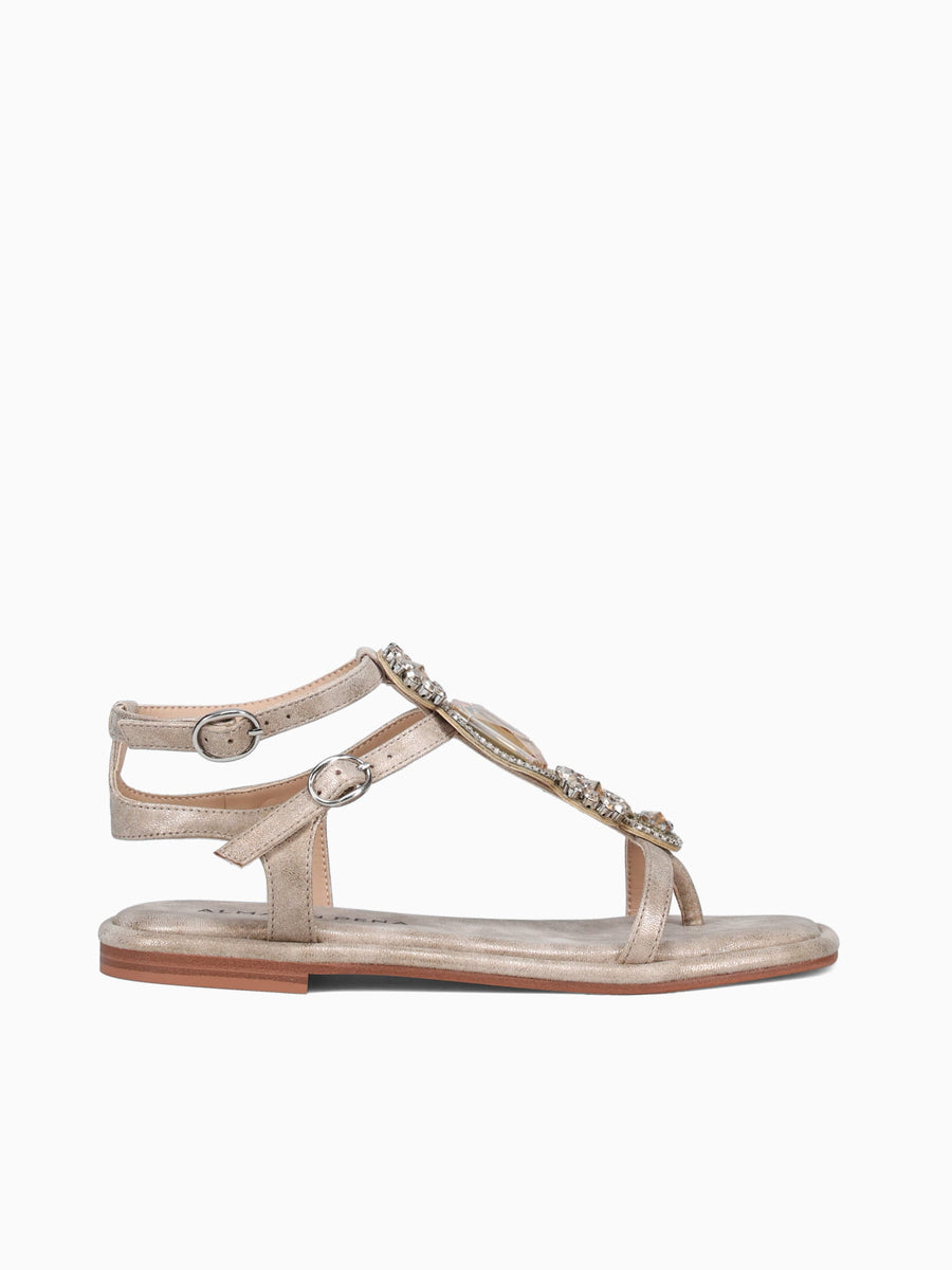 Alaina Bronze Sara Bronze / 36 / M
