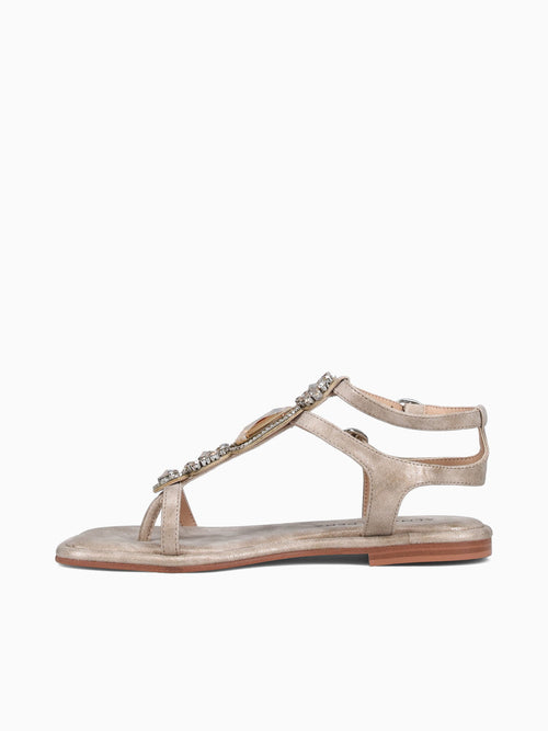 Alaina Bronze Sara Bronze / 36 / M