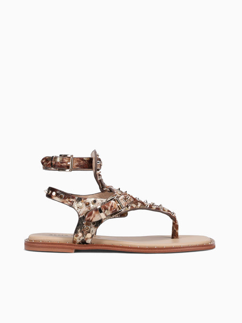 Alice Gold Montana Gold / 36 / M