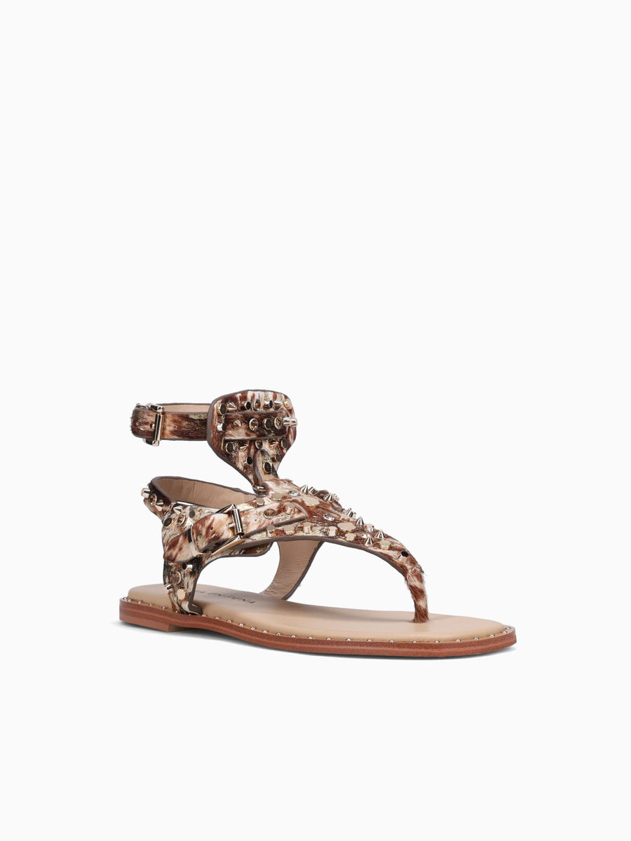 Alice Gold Montana Gold / 36 / M