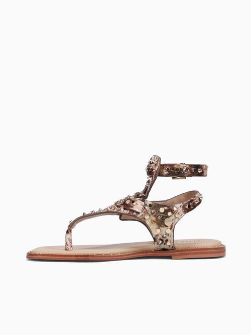 Alice Gold Montana Gold / 36 / M