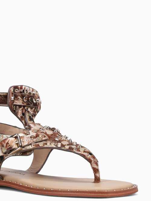 Alice Gold Montana Gold / 36 / M