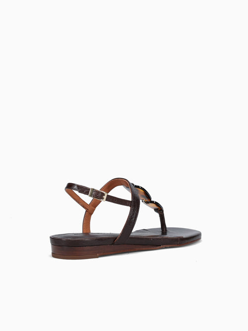 Amber T.moro Saratoga Brown / 5 / M