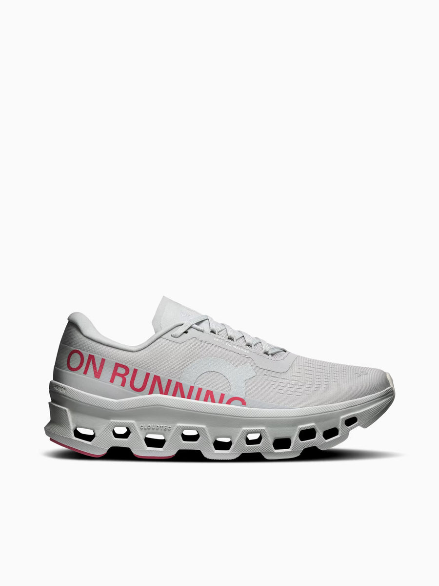 Cloudmonster 1 Silver Camelia mesh Silver / 5 / M