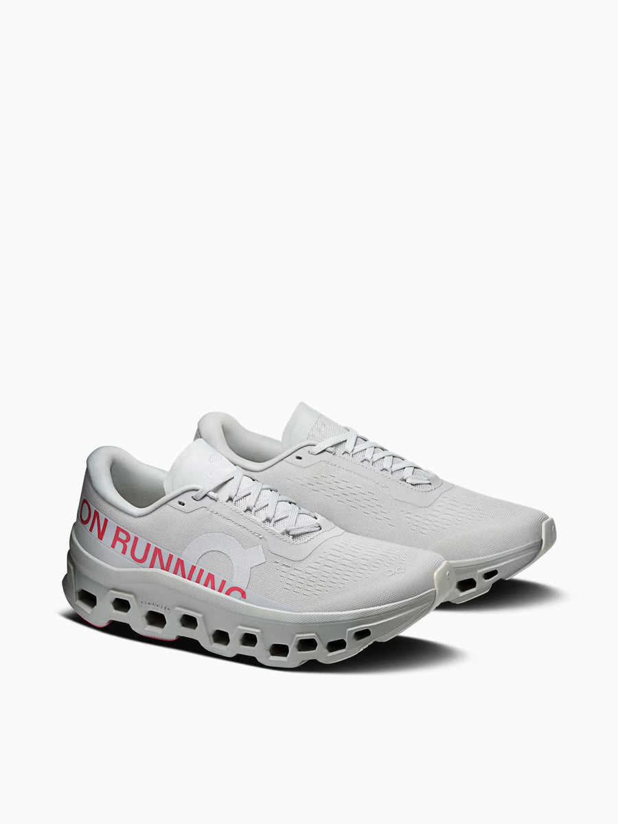 Cloudmonster 1 Silver Camelia mesh Silver / 5 / M