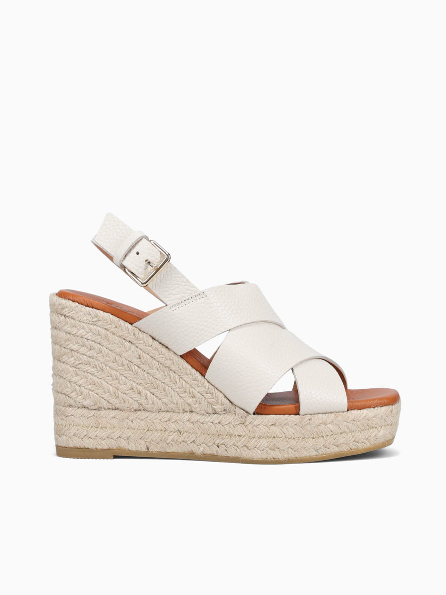 245014ca Croco1m Oxford / M